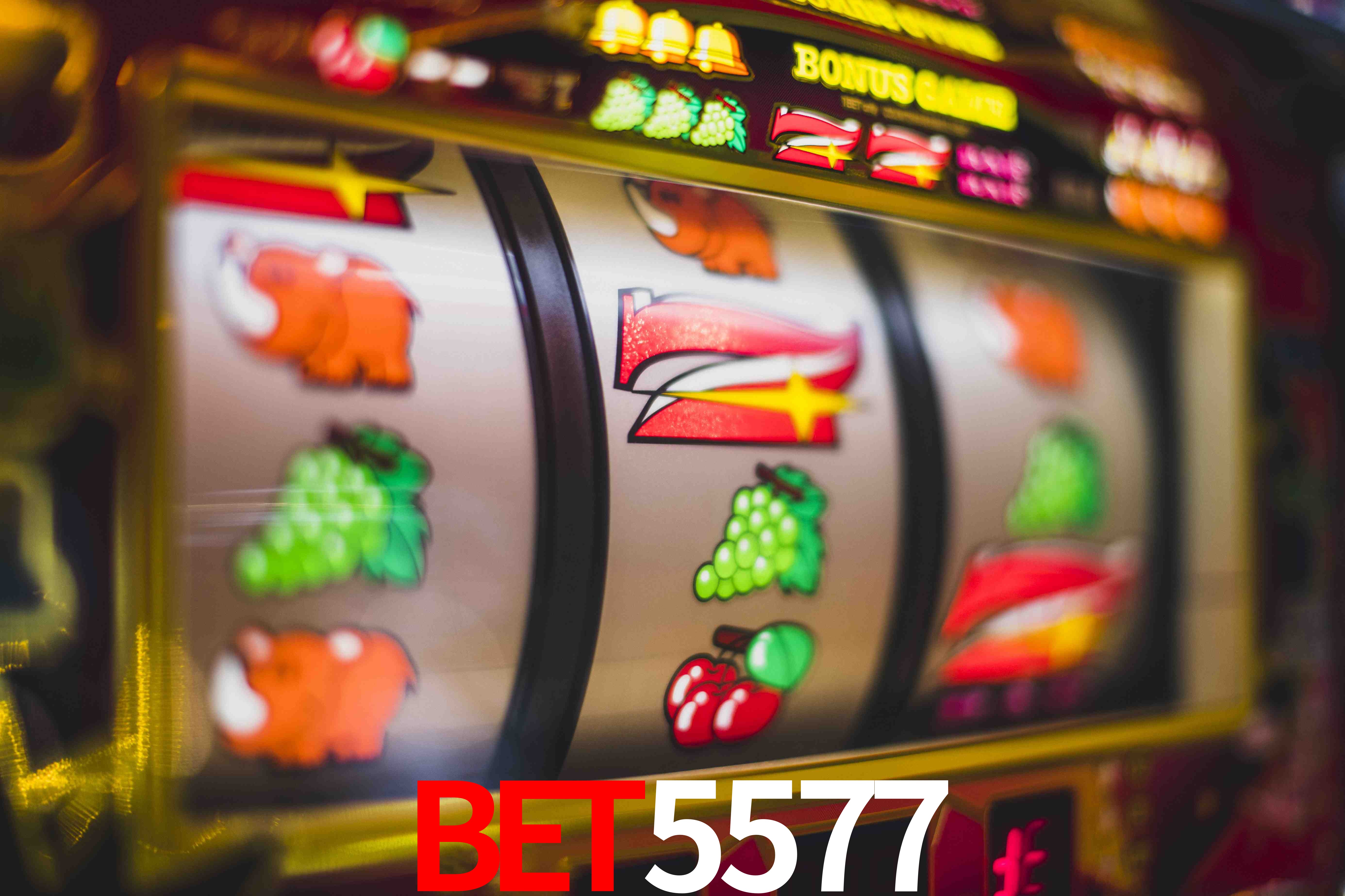 Aviator Game bet5577
